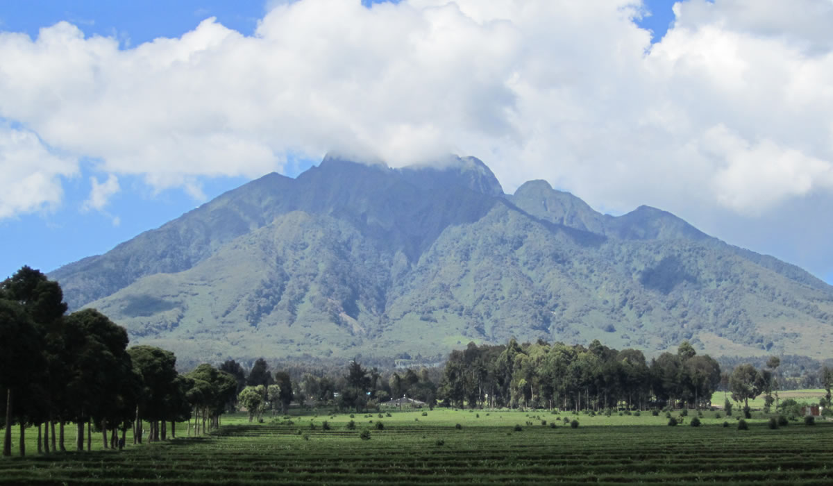 Volcano Hiking in Rwanda