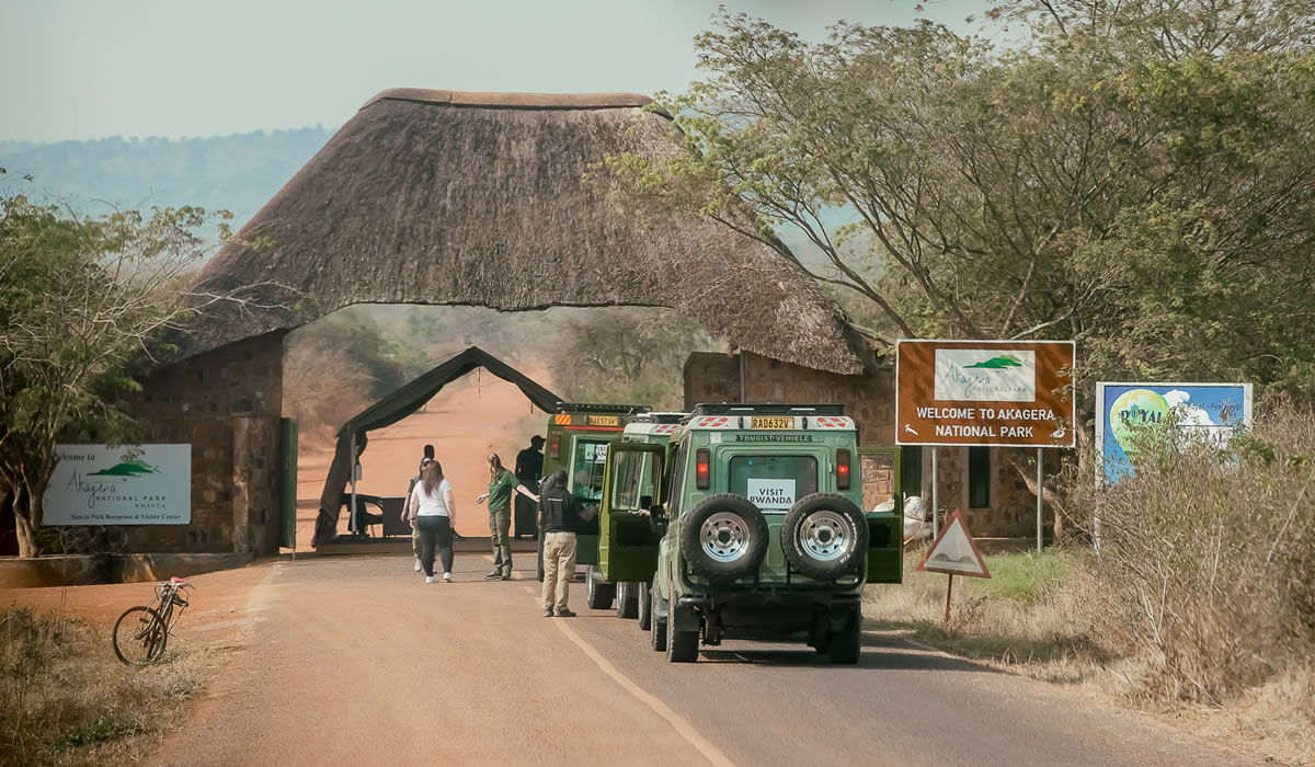 Tourist Things to Do in Akagera National Park, About Silverback Gorilla Tours