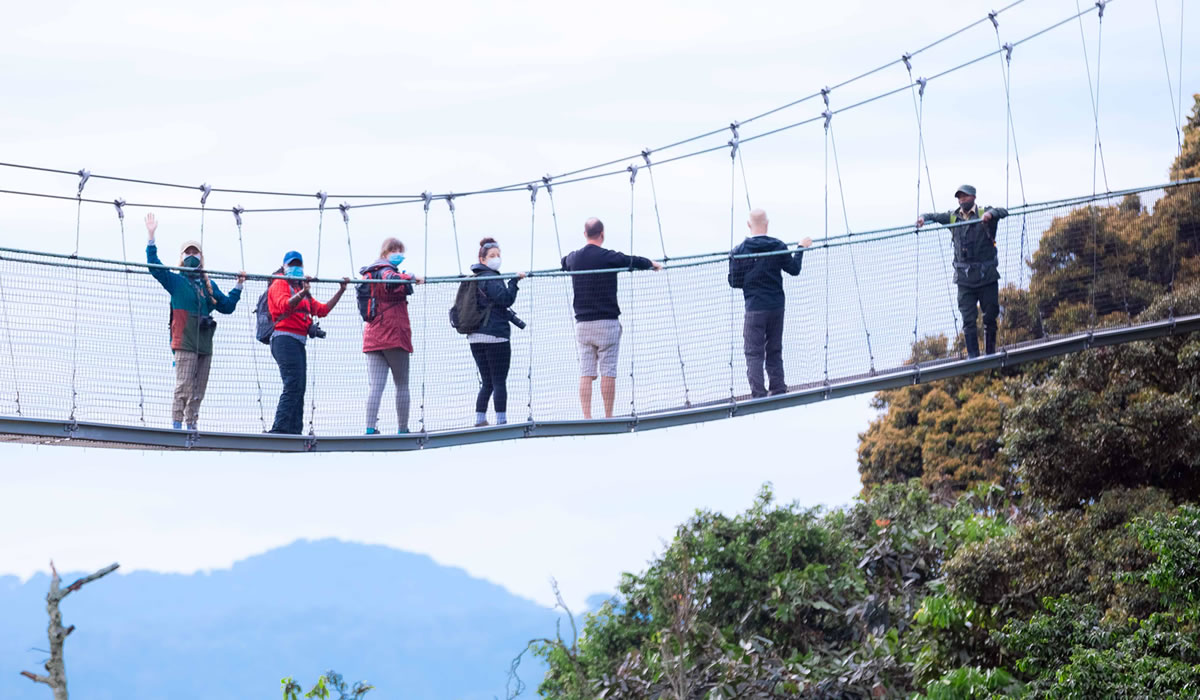 The Canopy Walk Experience in Nyungwe