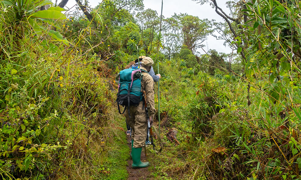 10 Days Rwenzori Mountain Climbing Tour