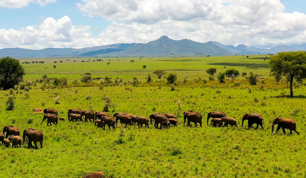 Kidepo Valley National Park, Uganda National Parks