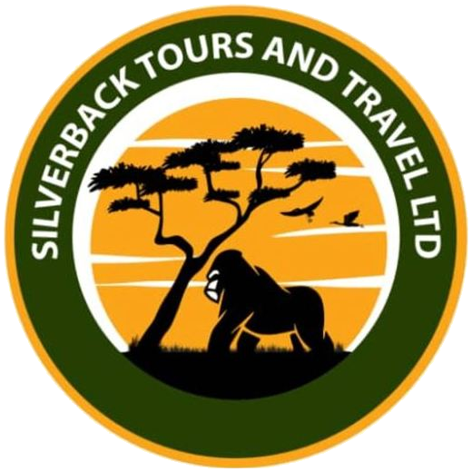 Silverback Tours and Travel