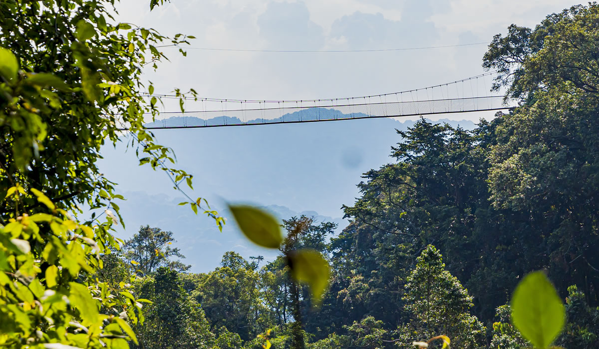 Nyungwe Forest National Park, Rwanda National Parks