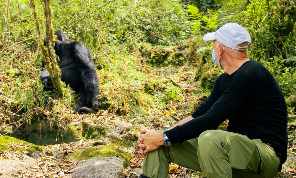 Best Time to Visit Rwanda