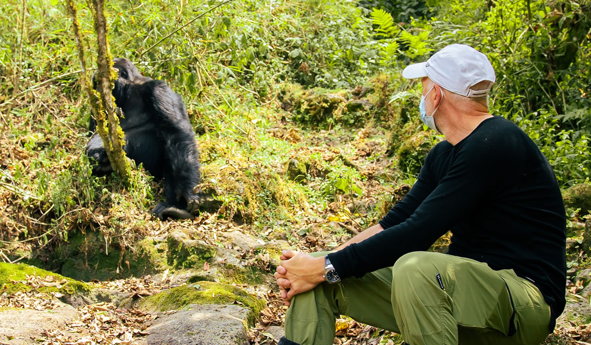 Best Time to Visit Rwanda