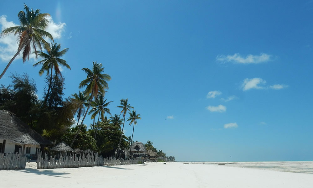 6 Days Tanzania Wildlife and Zanzibar Island Tour